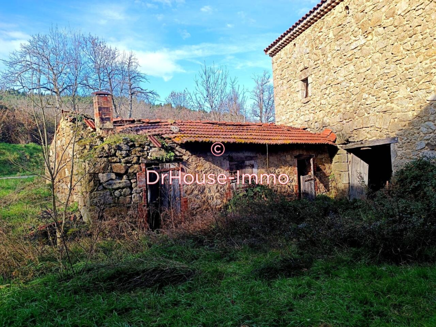 Photo 2 : Vente Autre Saint-Victor 250 m²
