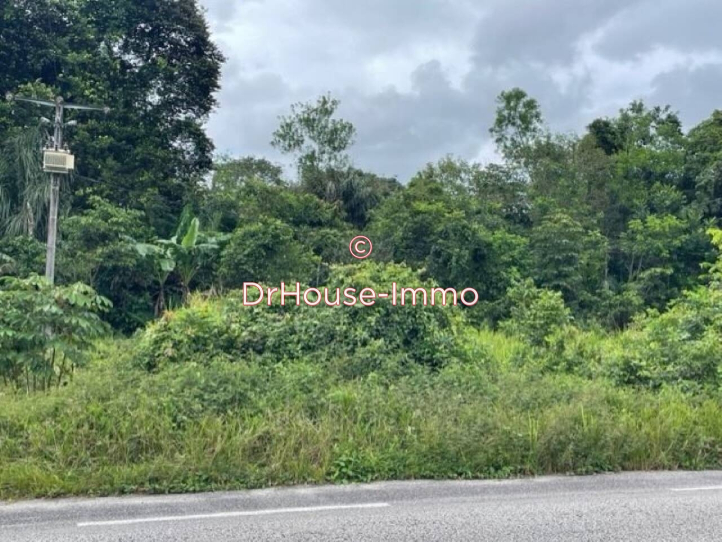 Photo 1 : Vente Terrain  Matoury 122405 m²