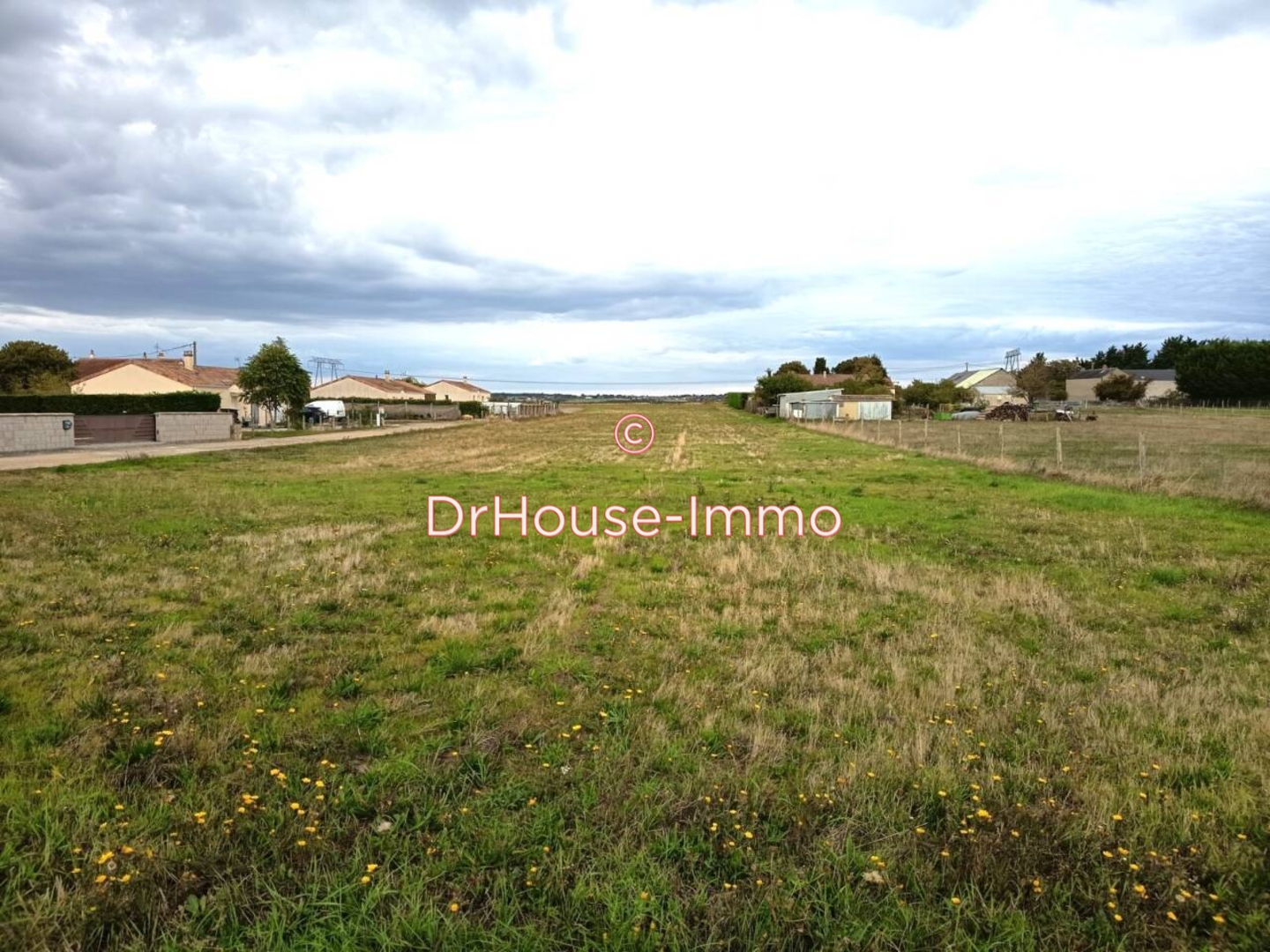 Image des la section Servies