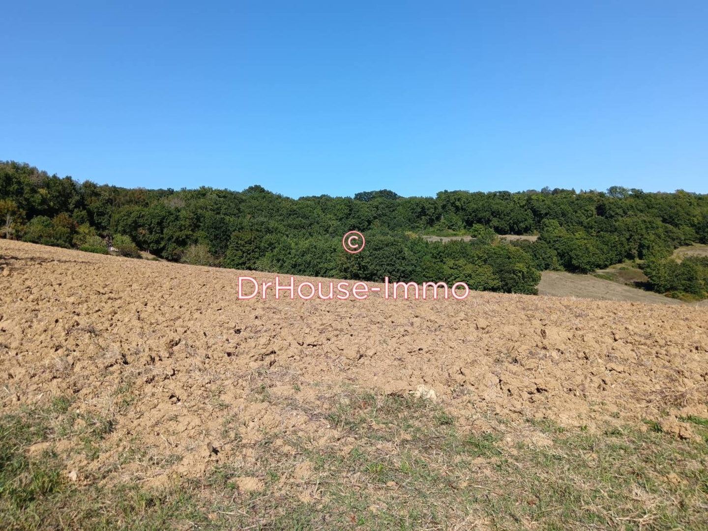 Photo 3 : Vente Terrain Saint-Hilaire-de-Lusignan 23780 m²