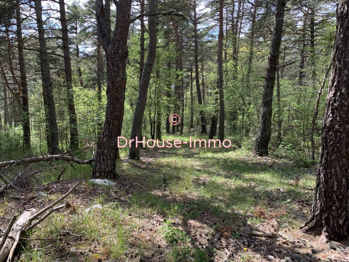 Photo 1 : Vente Terrain  Caussols 2500 m²