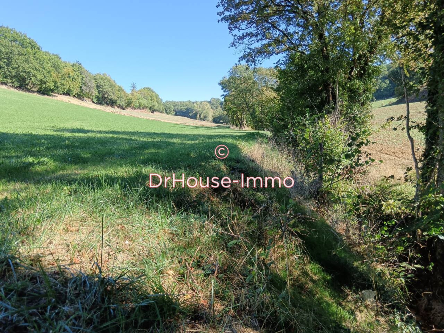 Photo 2 : Vente Terrain Colayrac-Saint-Cirq 14950 m²