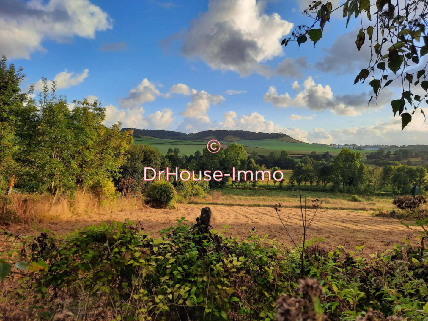 Photo 2 : Vente Terrain  Saint-Vaast-d'Équiqueville 2305 m²
