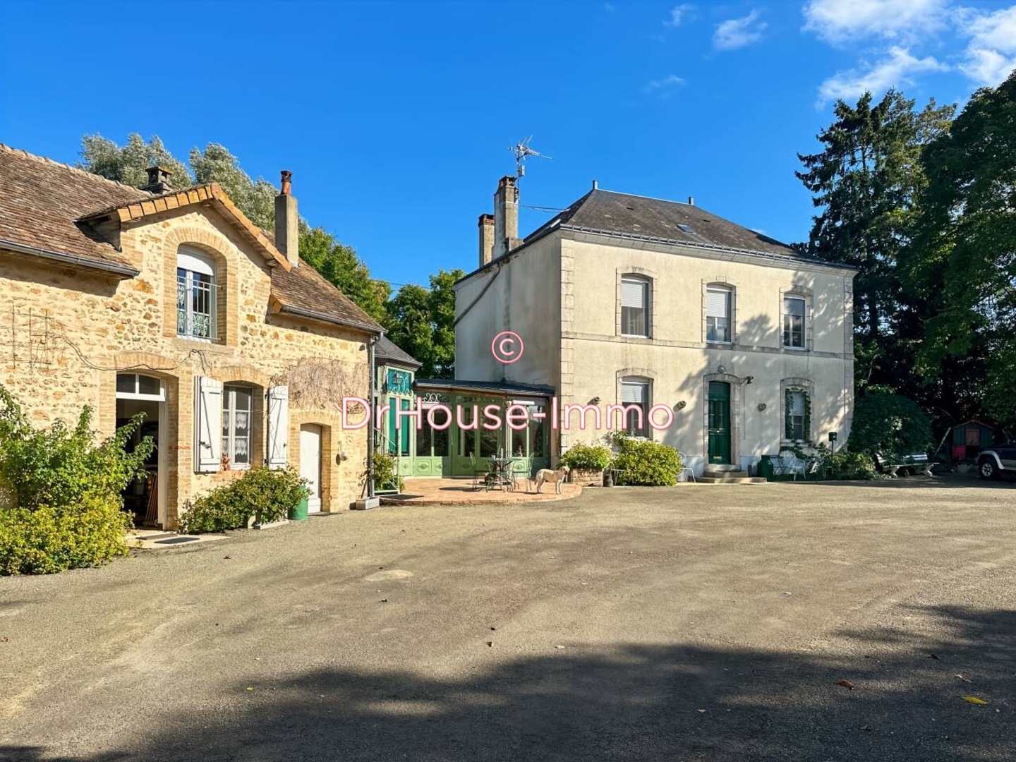 Photo 2 : Vente Maison 11 pièces Saint-Cosme-en-Vairais 242 m²