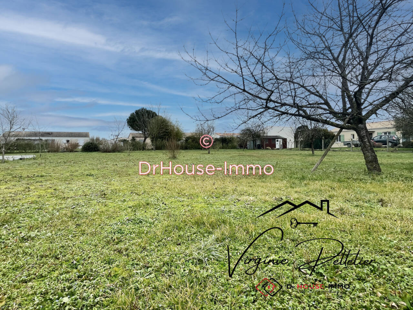 Photo 1 : Vente Terrain  Maillé 800 m²