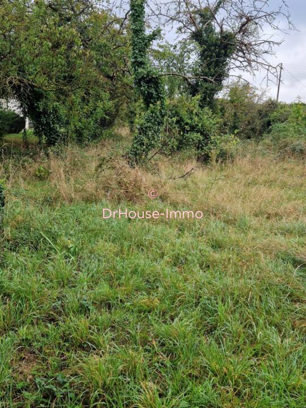 Image des la section Servies