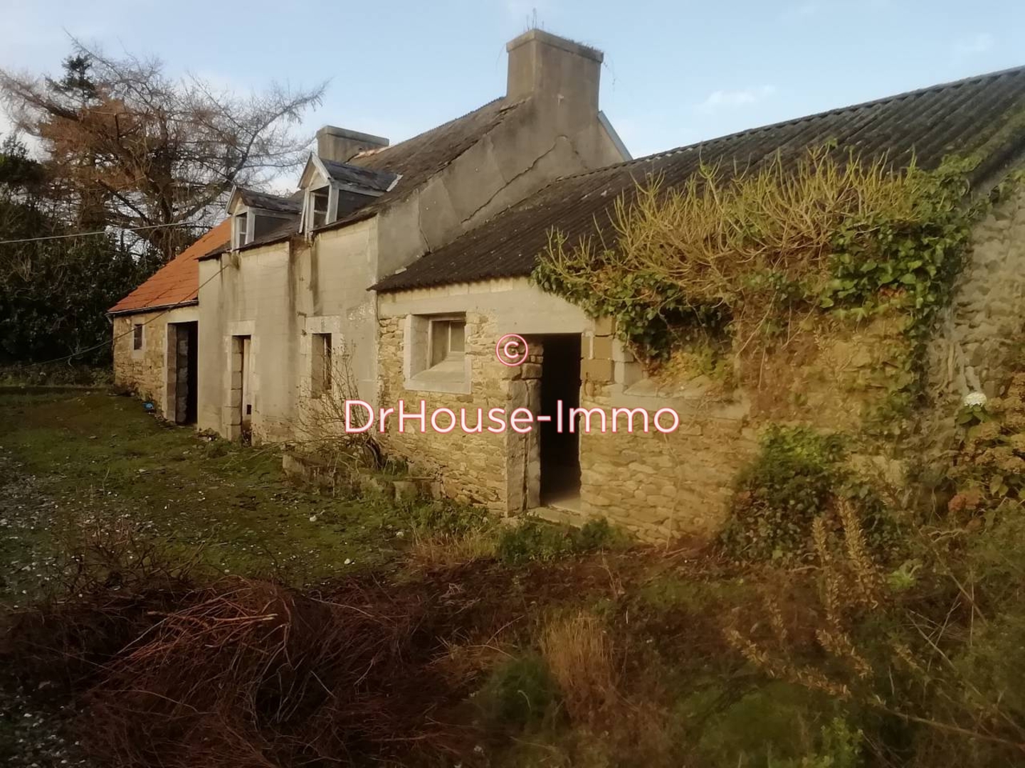 Photo 3 : Vente Maison 1 pièce Bodilis 210 m²
