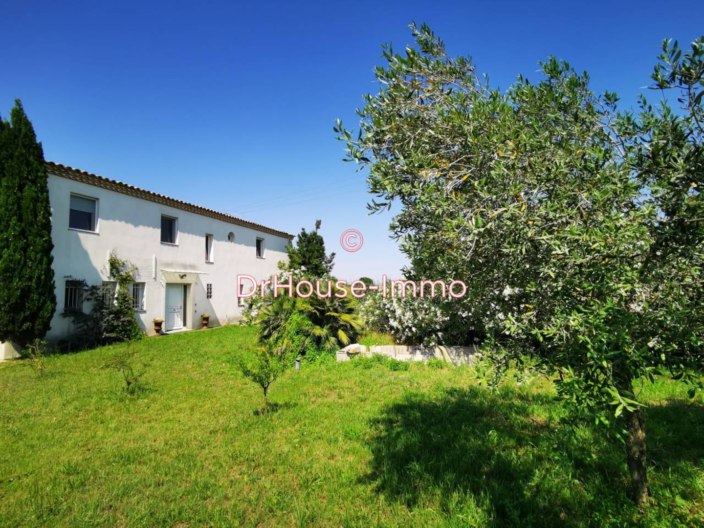 Photo 3 : Vente Autre 10 pièces Aigues-Mortes 1000 m²