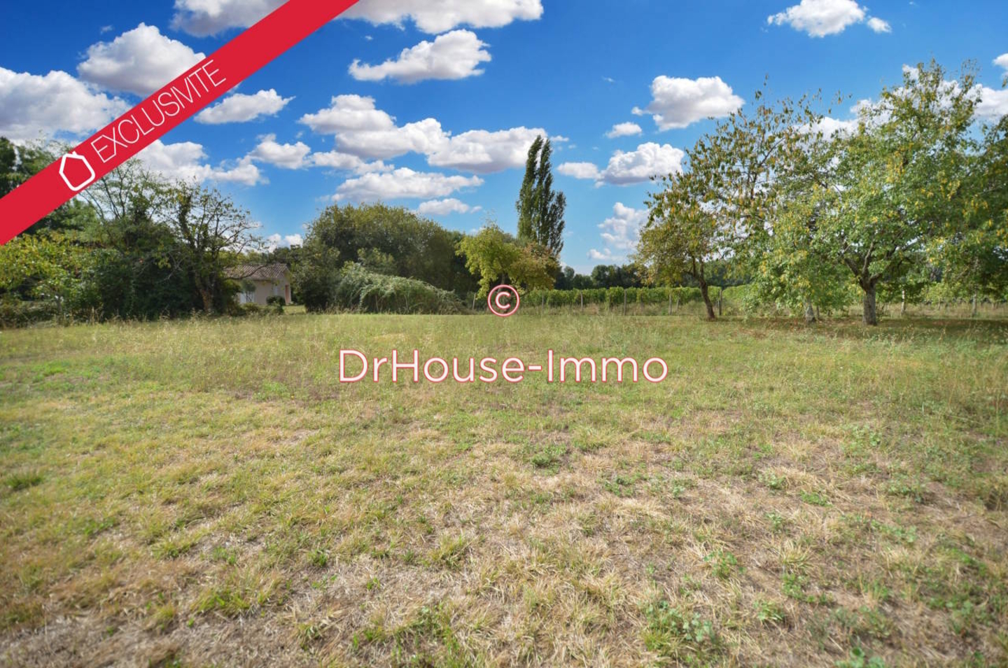 Photo 2 : Vente Terrain Queyrac 790 m²
