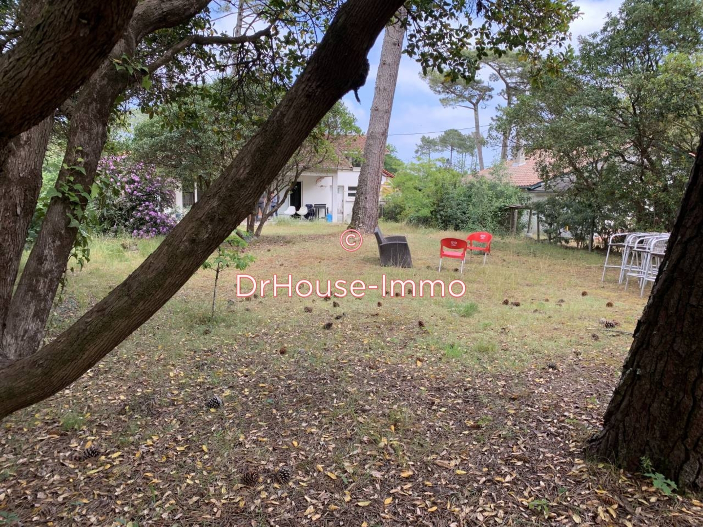 Photo 3 : Vente Maison 4 pièces Lège-Cap-Ferret 110 m²