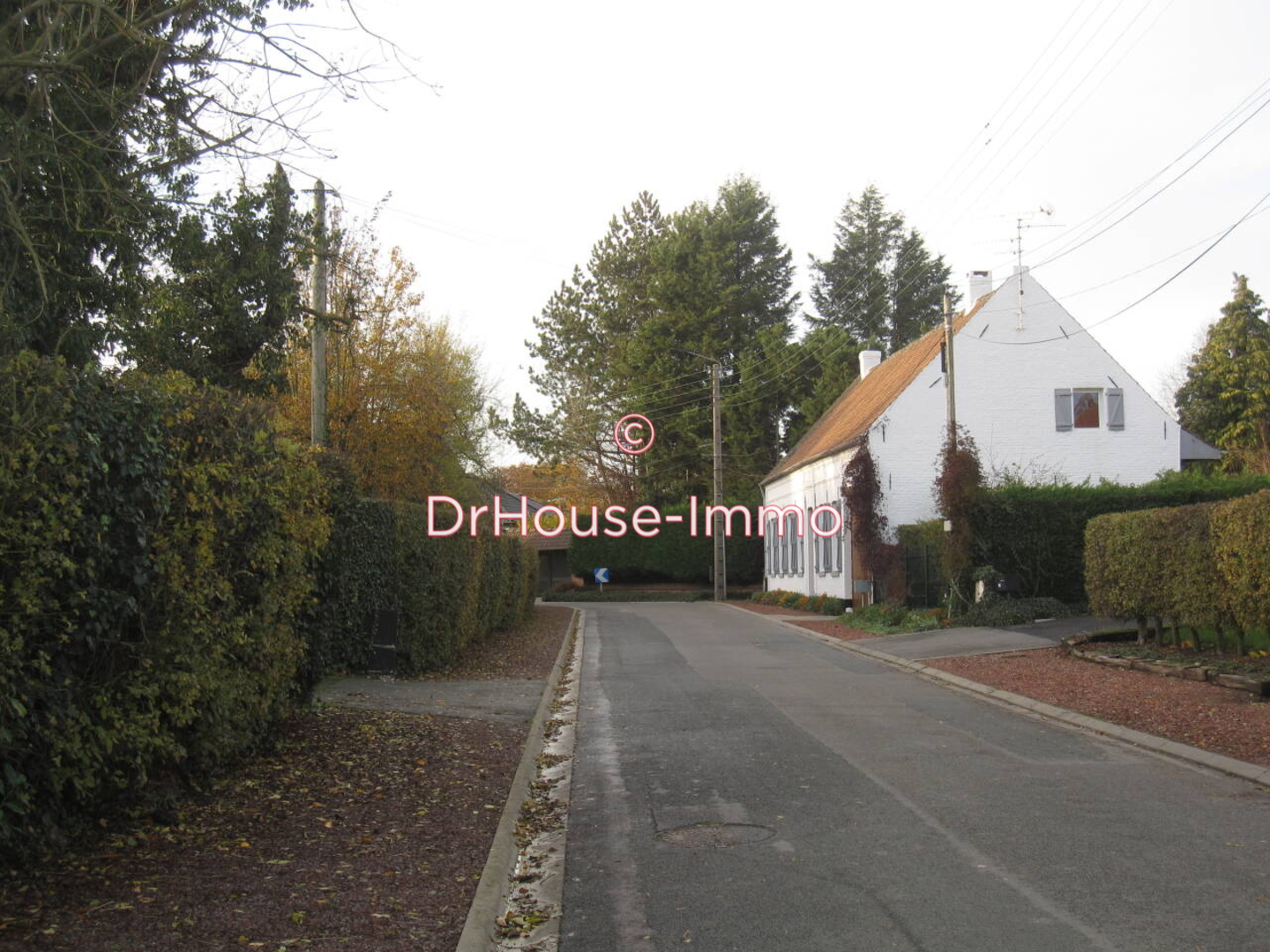 Photo 3 : Vente Terrain Bersée 1158 m²