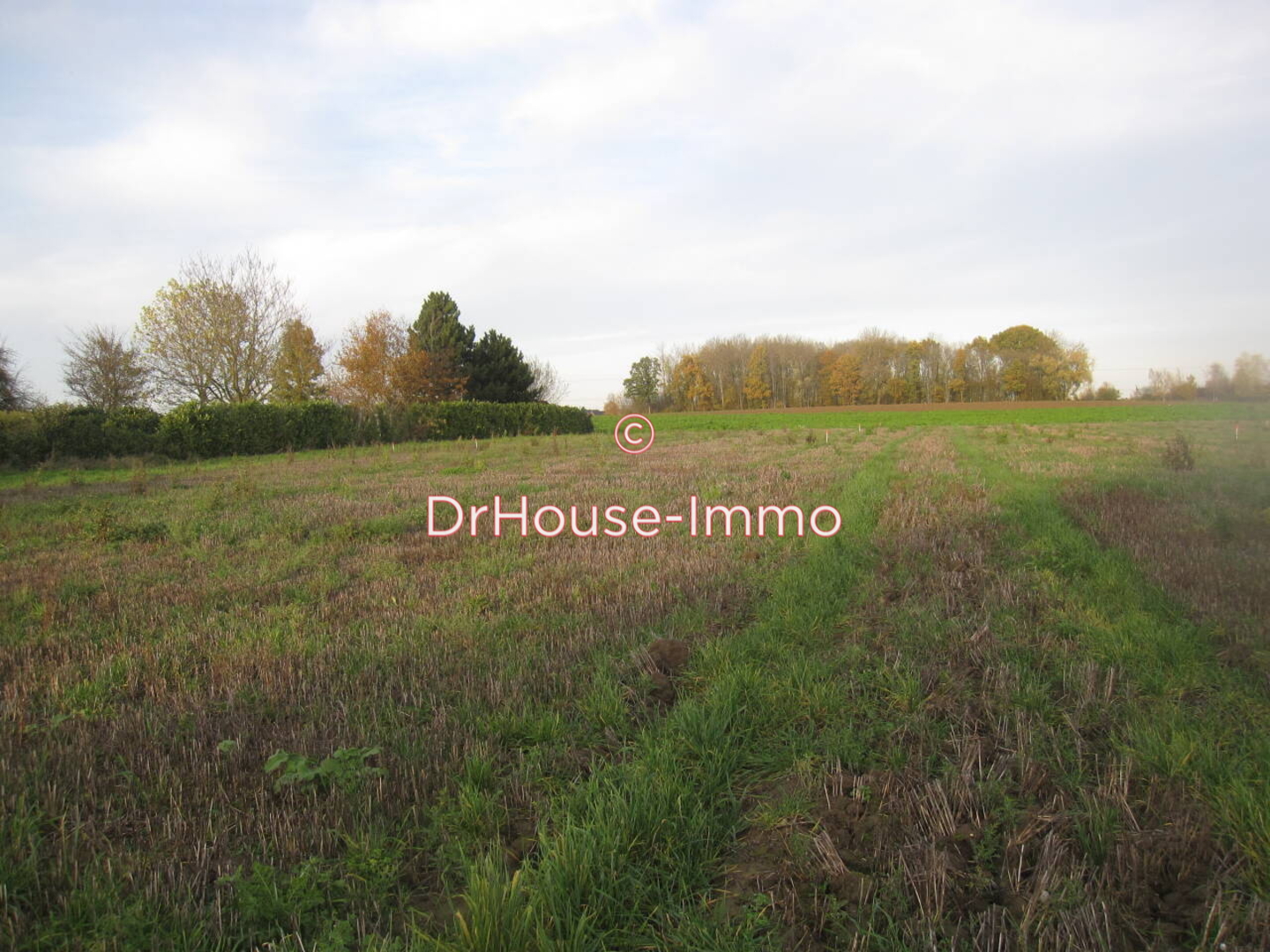Photo 2 : Vente Terrain Bersée 1950 m²