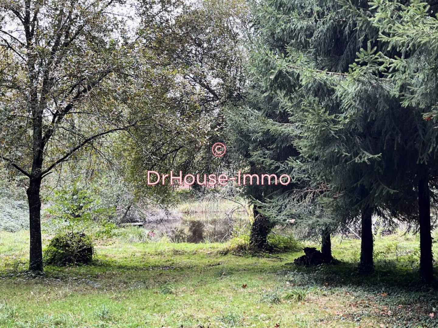 Photo 3 : Vente Terrain de loisirs Saint-Estèphe