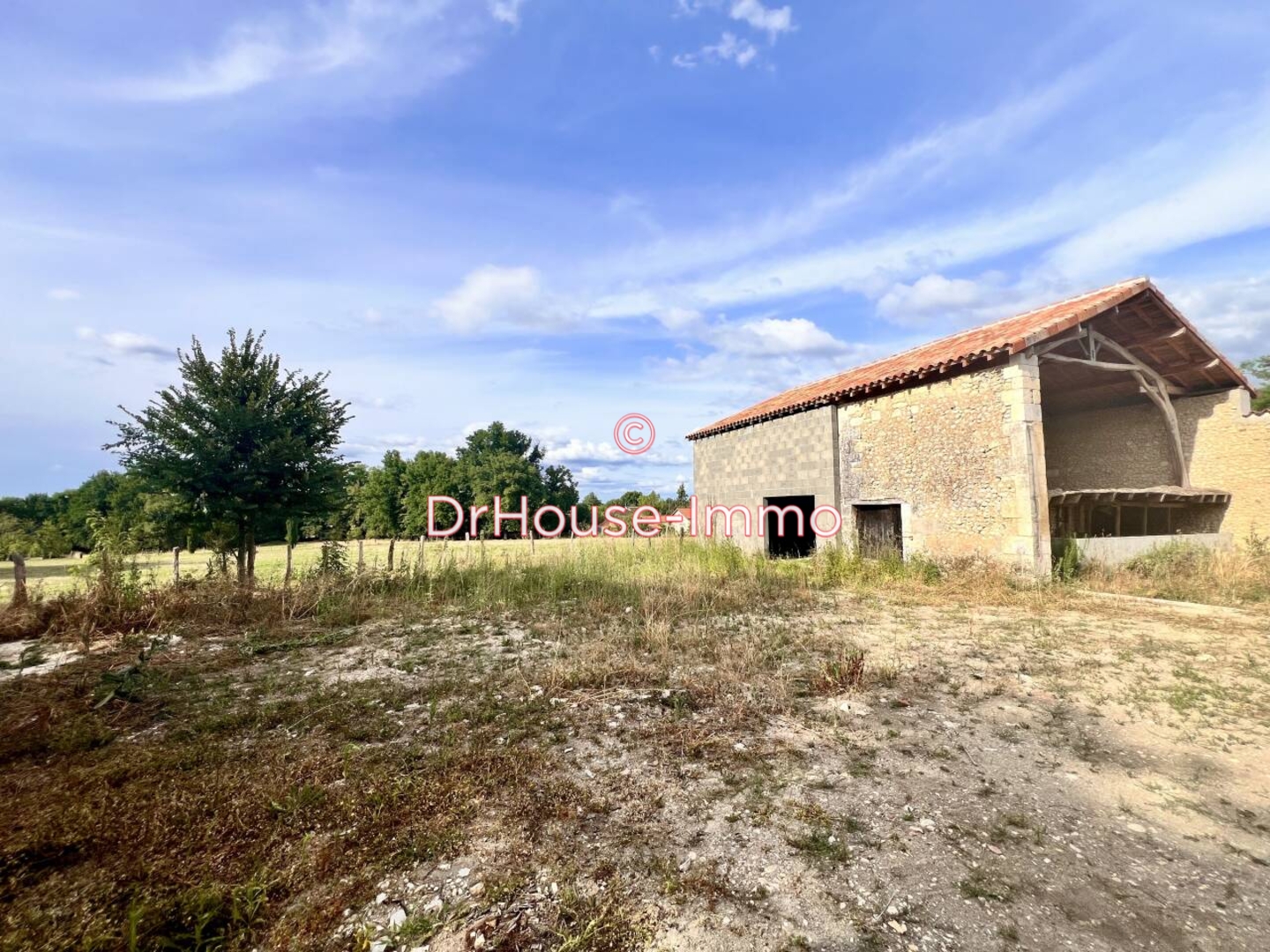 Photo 2 : Vente Maison 7 pièces Ribérac 200 m²