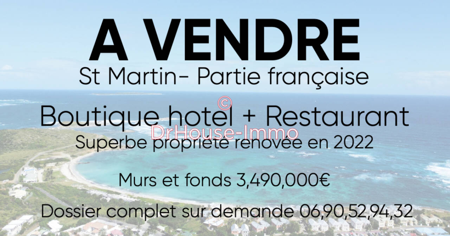 Photo 1 : Vente Commerce 10 pièces Saint-Martin 790 m²