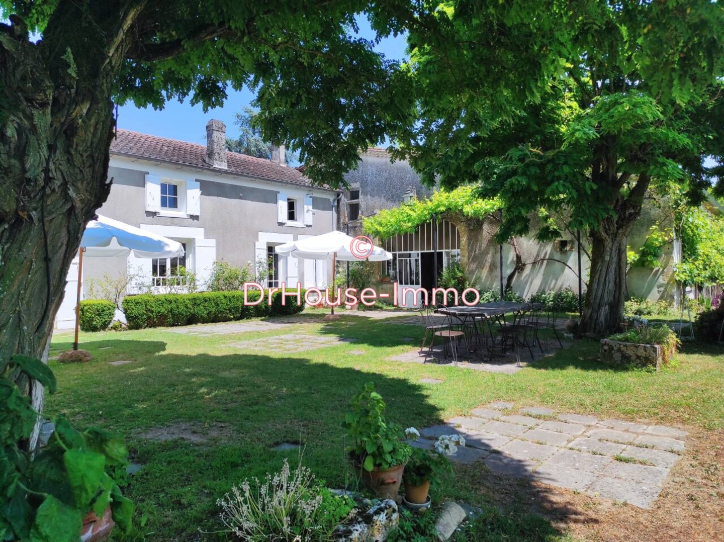 Photo 1 : Vente Commerce 15 pièces Saint-Émilion 600 m²
