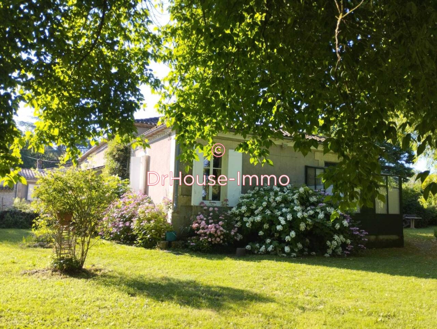 Photo 3 : Vente Commerce 15 pièces Saint-Émilion 600 m²
