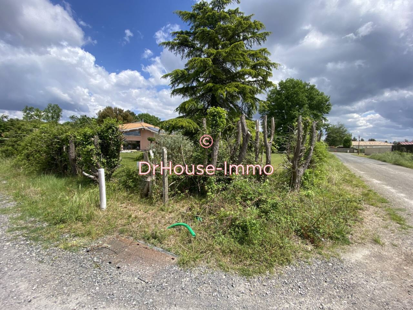 Photo 3 : Vente Terrain  Parentis-en-Born 401 m²