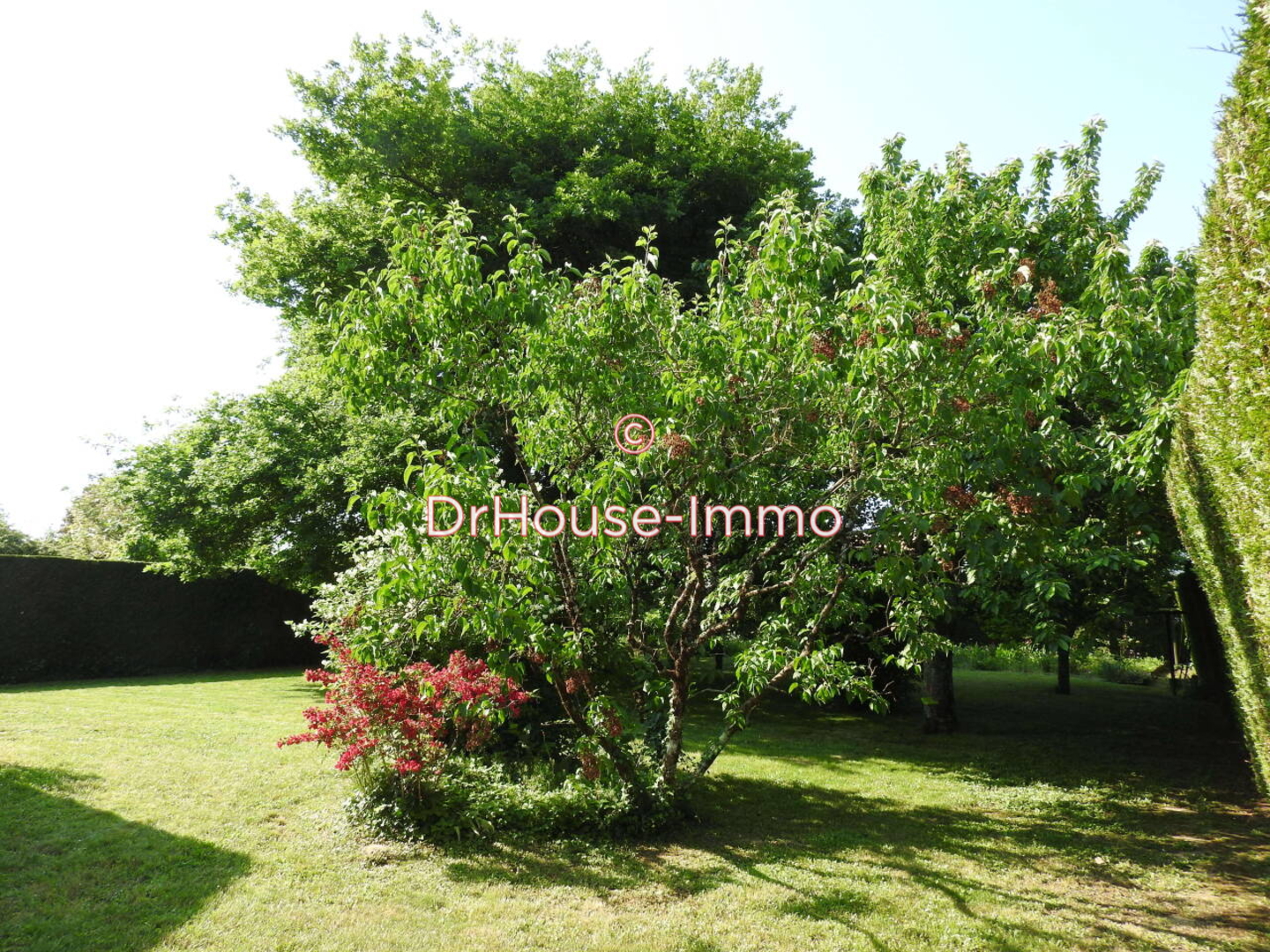Photo 2 : Vente Maison 8 pièces Fontaine-le-Comte 167 m²