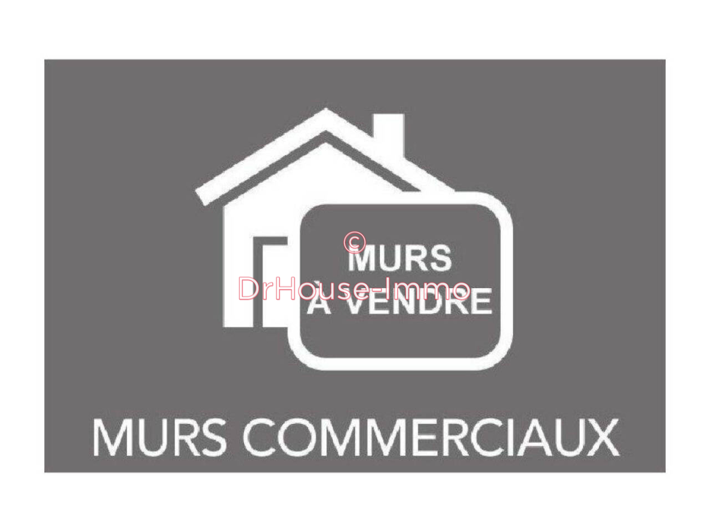 Photo 1 : Vente Immeuble commercial 2 pièces Cussac-sur-Loire 600 m²