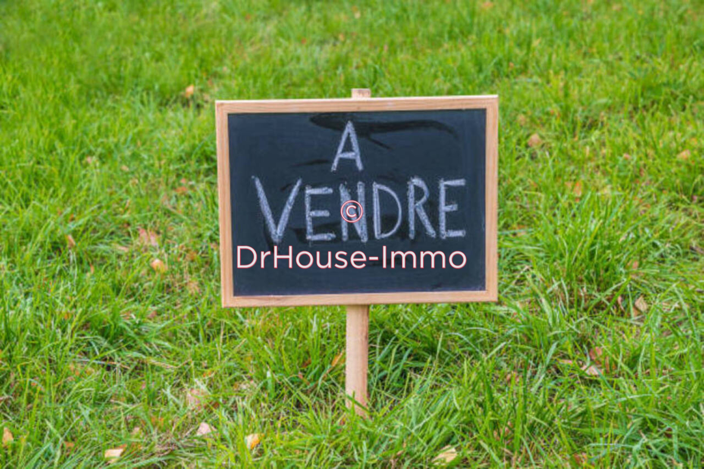 Photo 2 : Vente Terrain  Apremont 3900 m²
