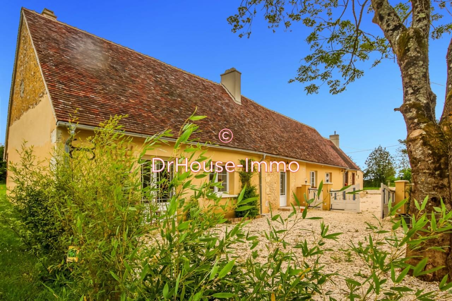 Photo 1 : Vente Maison 6 pièces Thiron-Gardais 182 m²