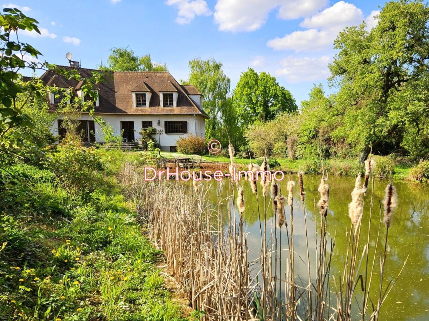 Photo 3 : Vente Maison 6 pièces Santeny 225 m²
