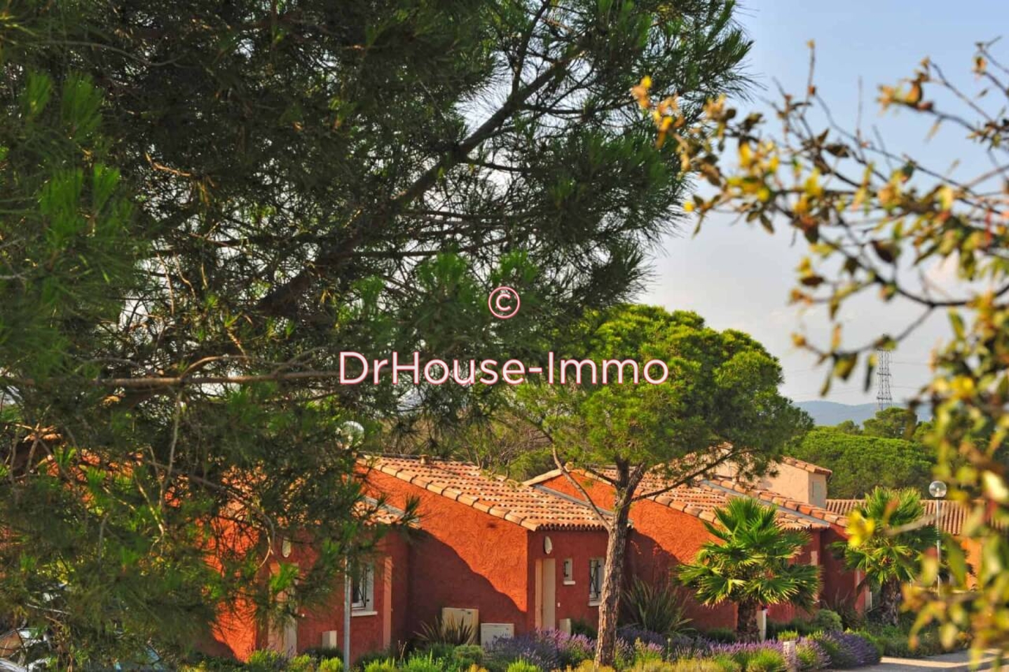 Photo 2 : Vente Maison 3 pièces Puget-sur-Argens 56 m²