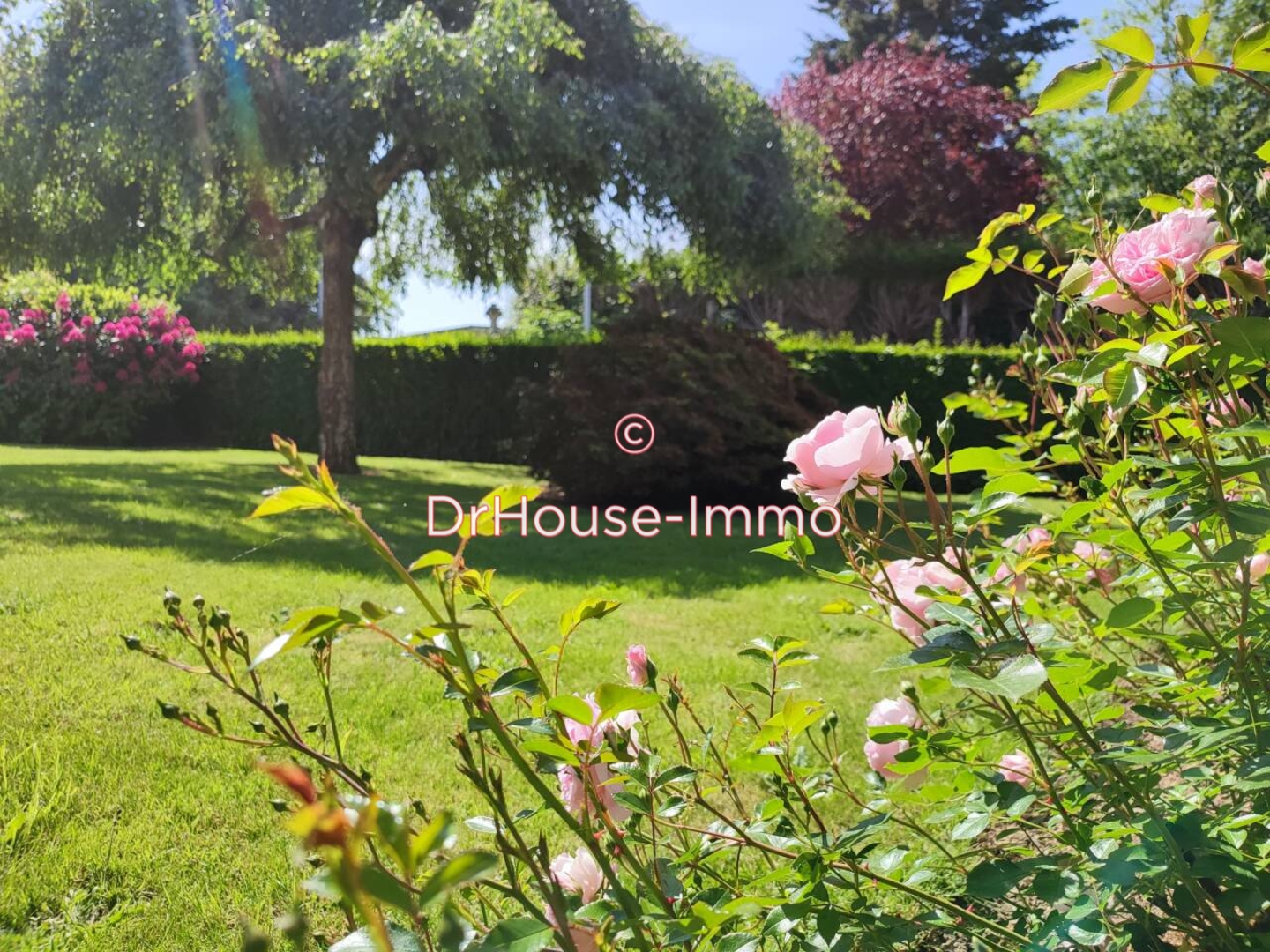 Photo 2 : Vente Maison 5 pièces Vire Normandie 80 m²