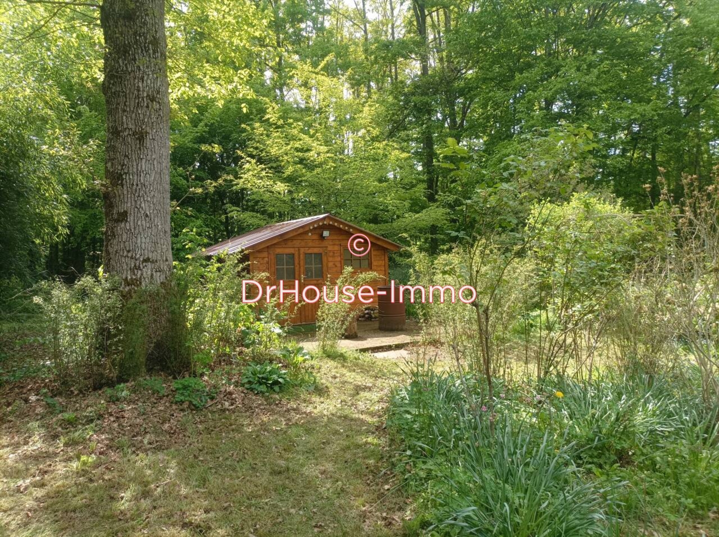 Photo 3 : Vente Terrain 2 pièces Saint-Germain-des-Prés 32 m²