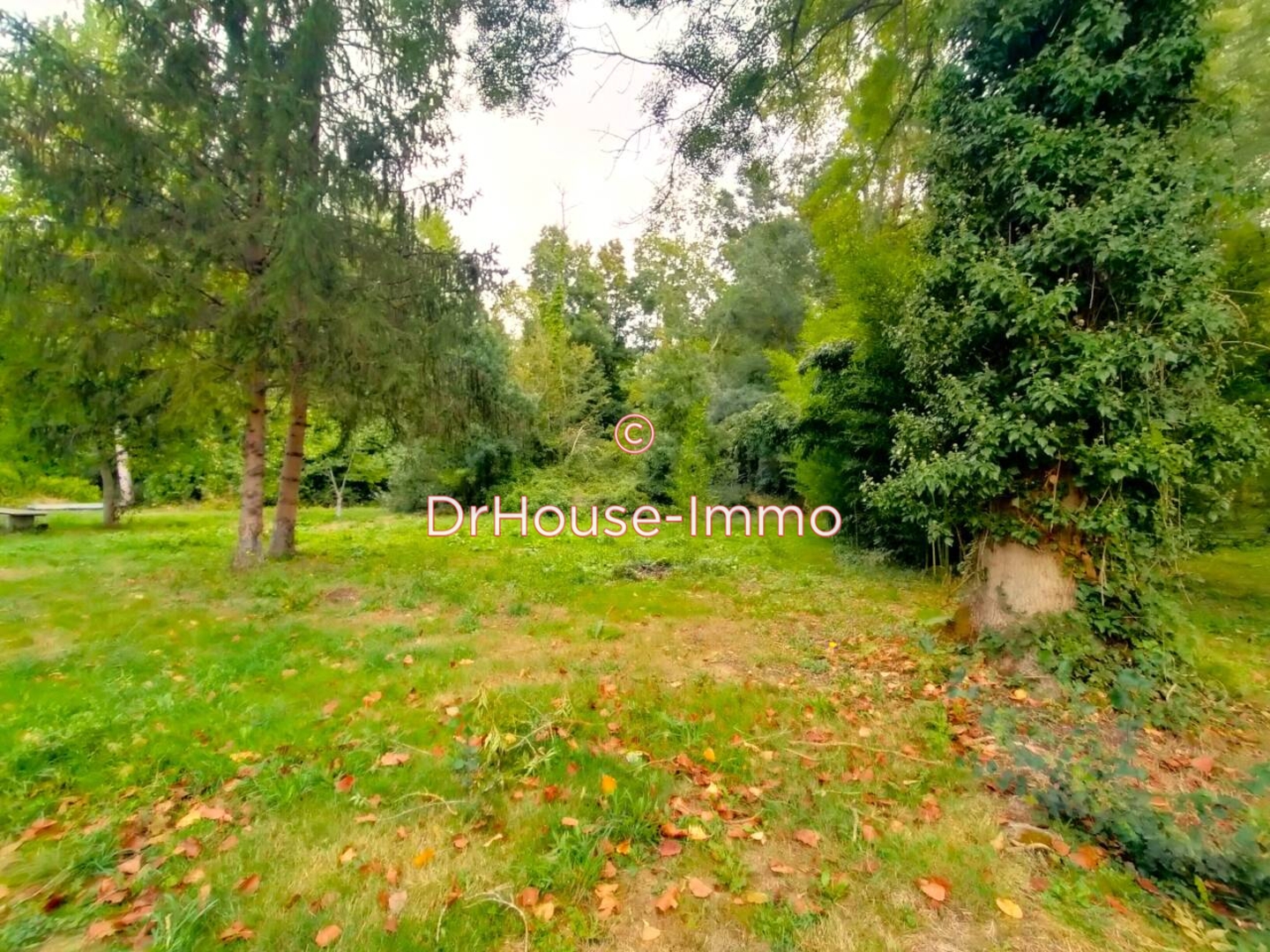 Photo 2 : Vente Terrain  Saint-Georges-lès-Baillargeaux 4160 m²