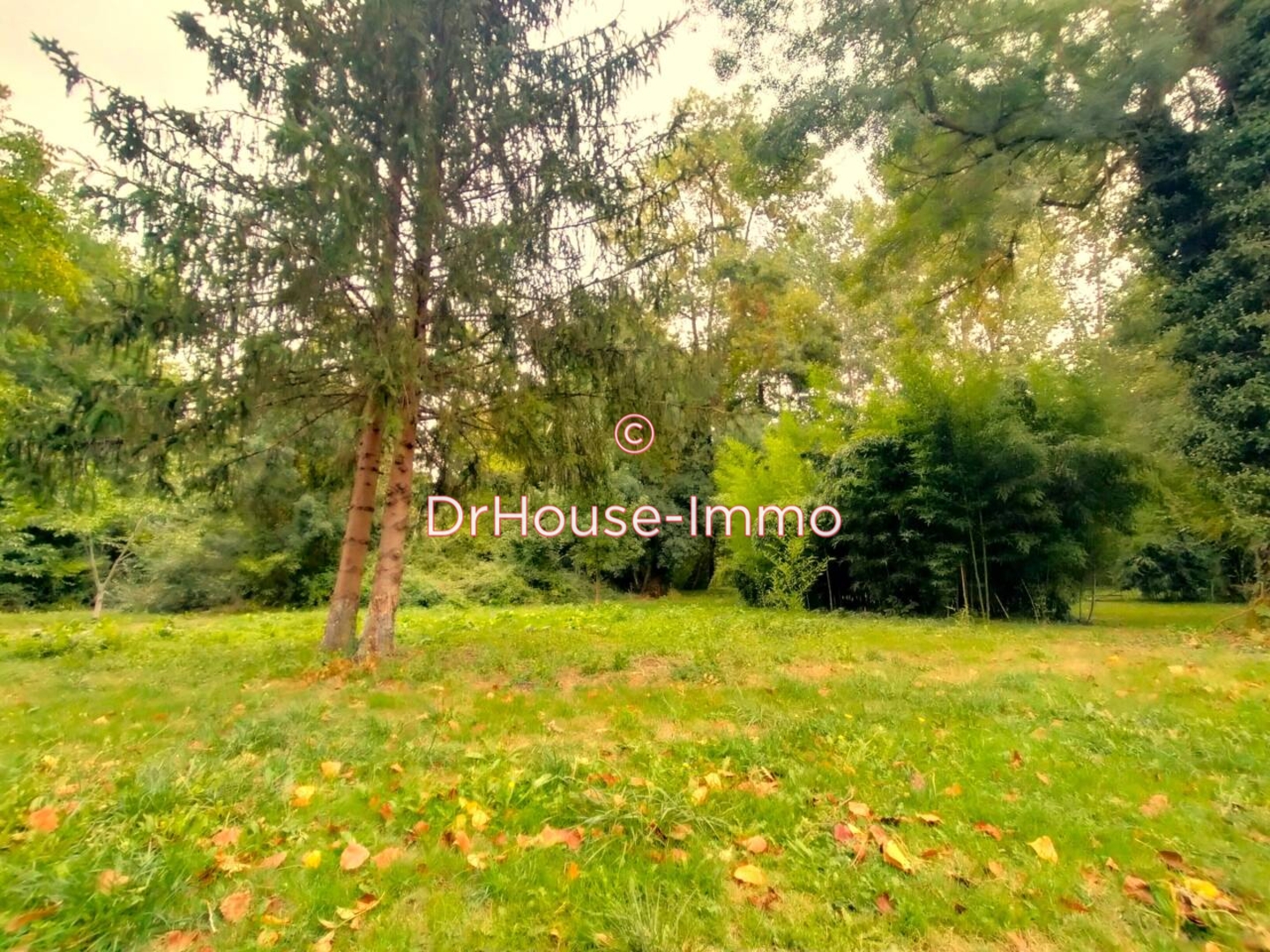 Photo 3 : Vente Terrain  Saint-Georges-lès-Baillargeaux 4160 m²