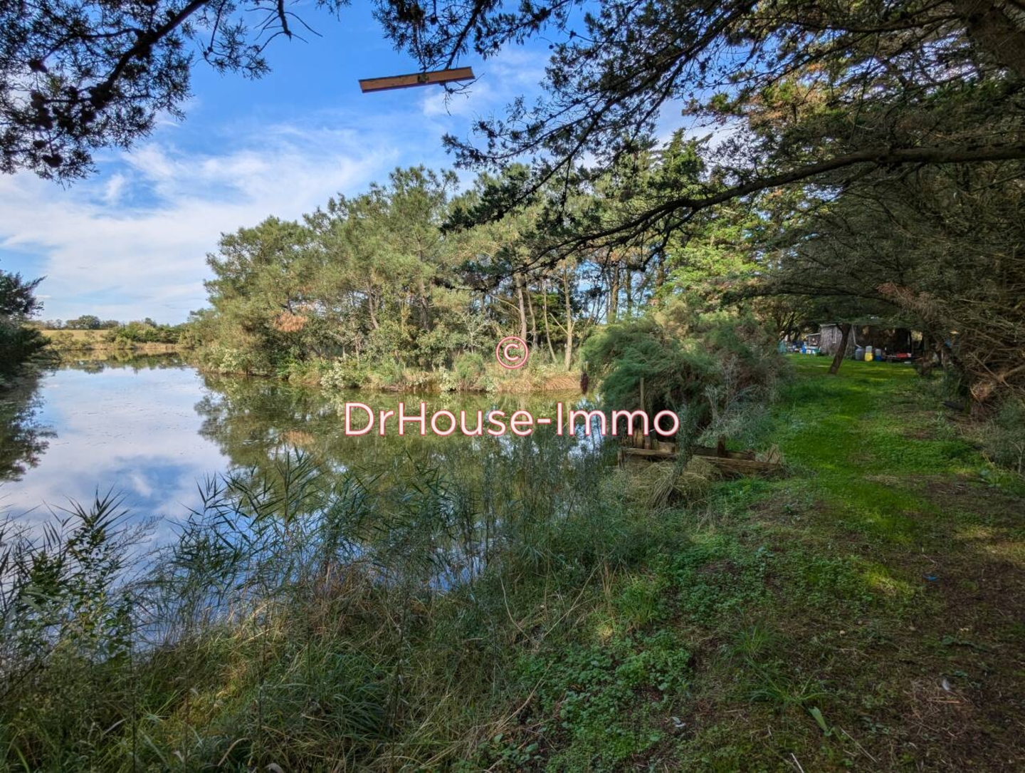 Photo 1 : Vente Terrain Sables-d'Olonne 17359 m²