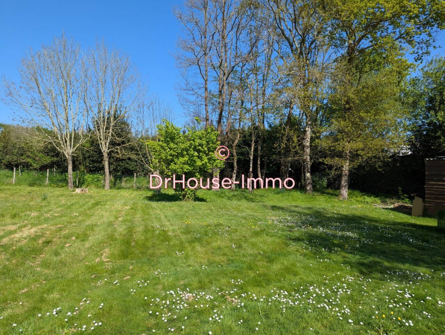 Photo 1 : Vente Terrain L'Île-d'Olonne 484 m²