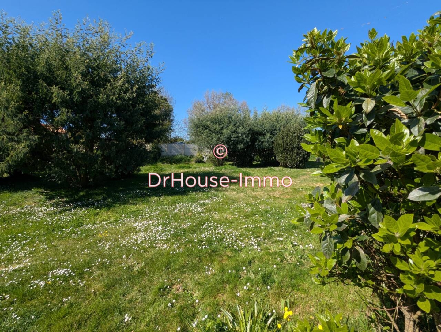 Photo 3 : Vente Terrain L'Île-d'Olonne 641 m²