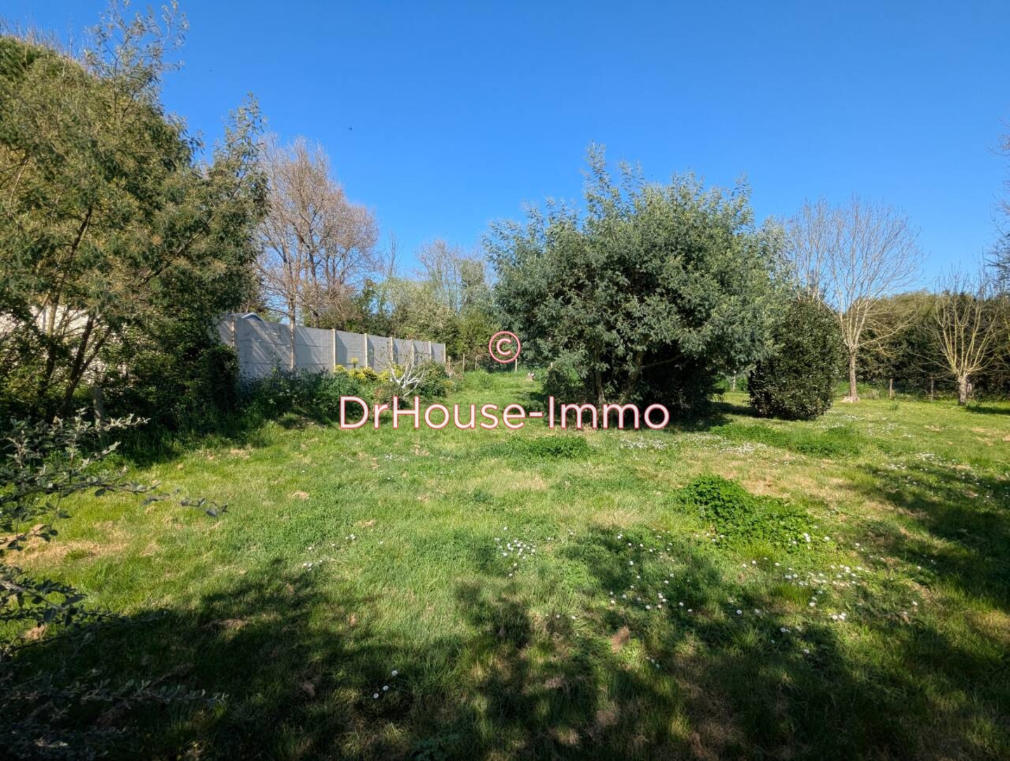 Photo 2 : Vente Terrain L'Île-d'Olonne 641 m²