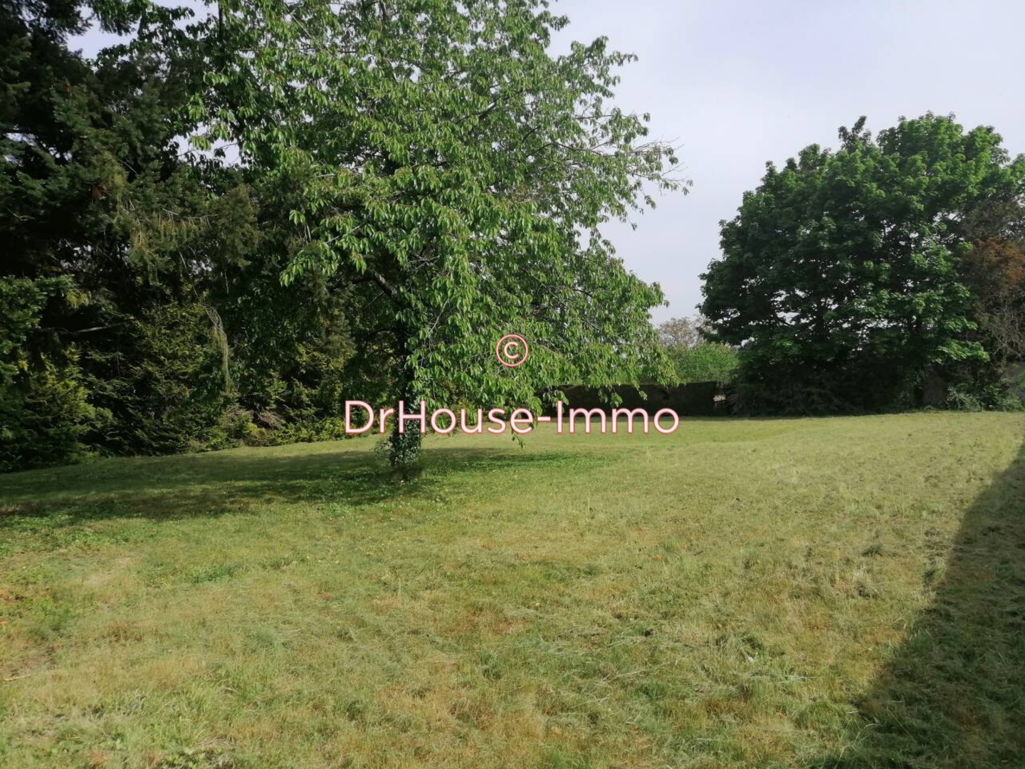Photo 2 : Vente Terrain Olivet 1550 m²