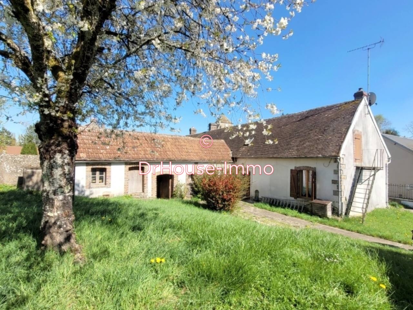 Photo 1 : Vente Maison 5 pièces Savigny-sur-Clairis 100 m²