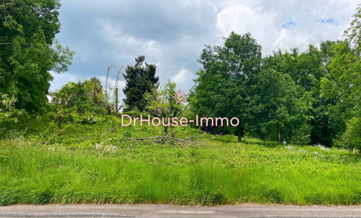 Photo 3 : Vente Terrain Altillac 4343 m²