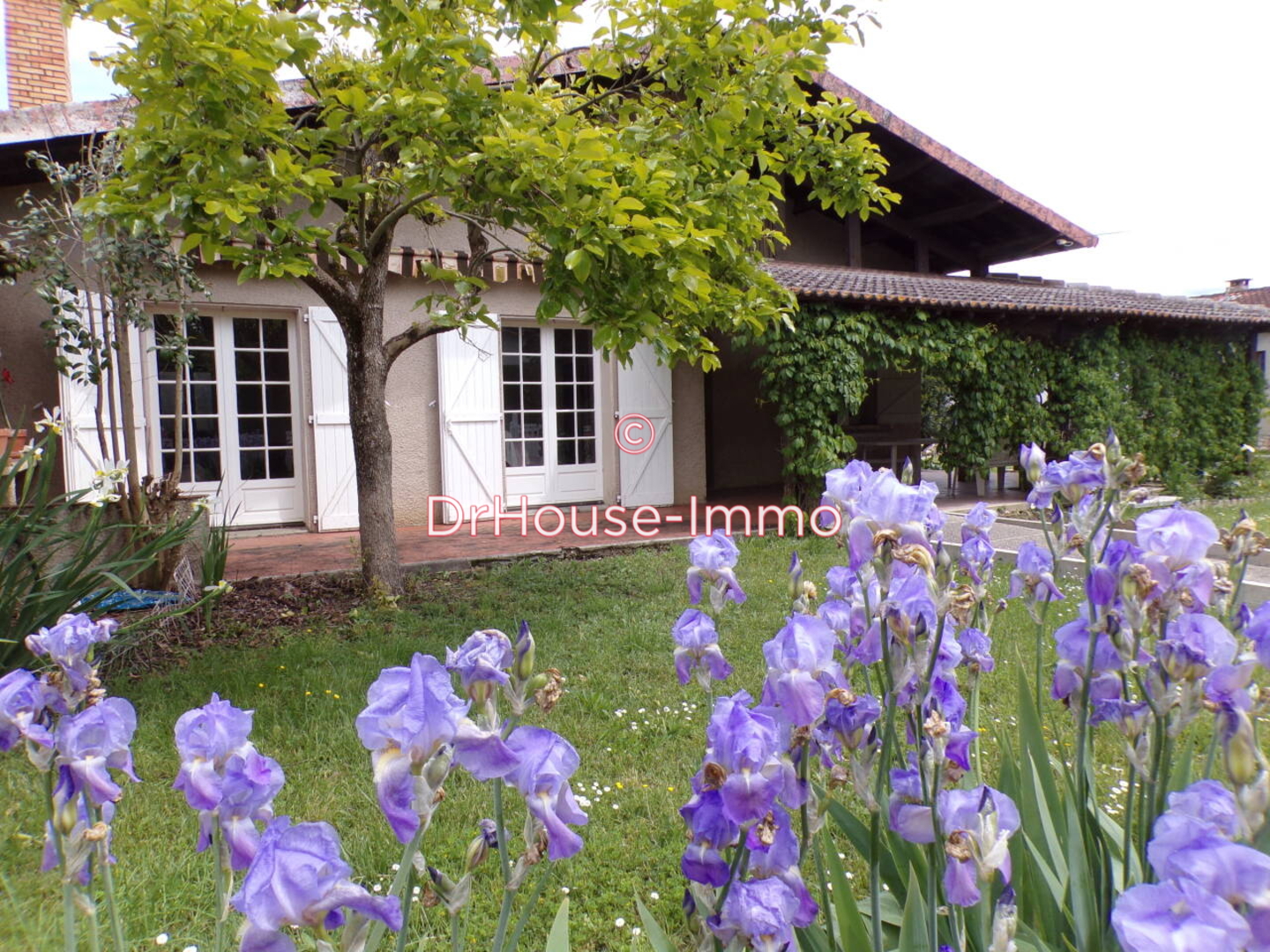 Photo 1 : Vente Maison 5 pièces Lavaur 128 m²