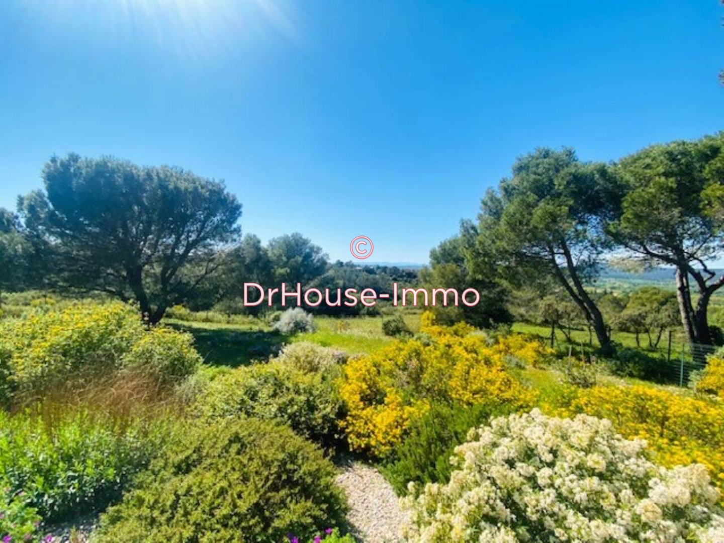 Photo 2 : Vente Maison 7 pièces Saint-Siffret 196 m²