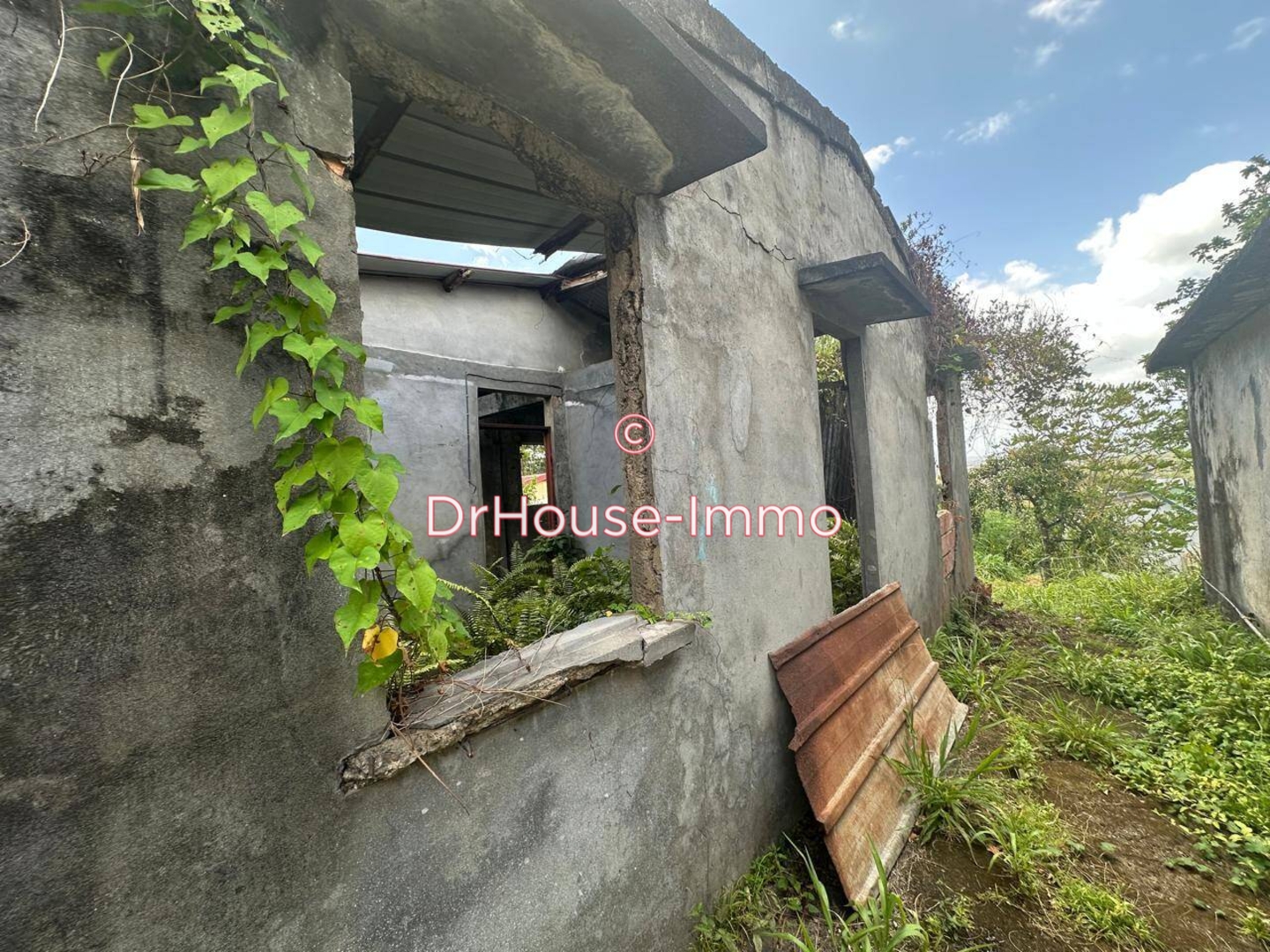 Photo 2 : Vente Terrain Lamentin 2850 m²