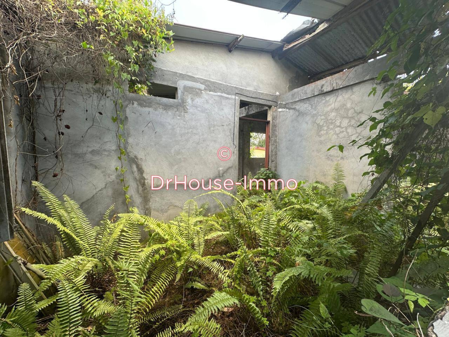 Photo 3 : Vente Terrain Lamentin 2850 m²
