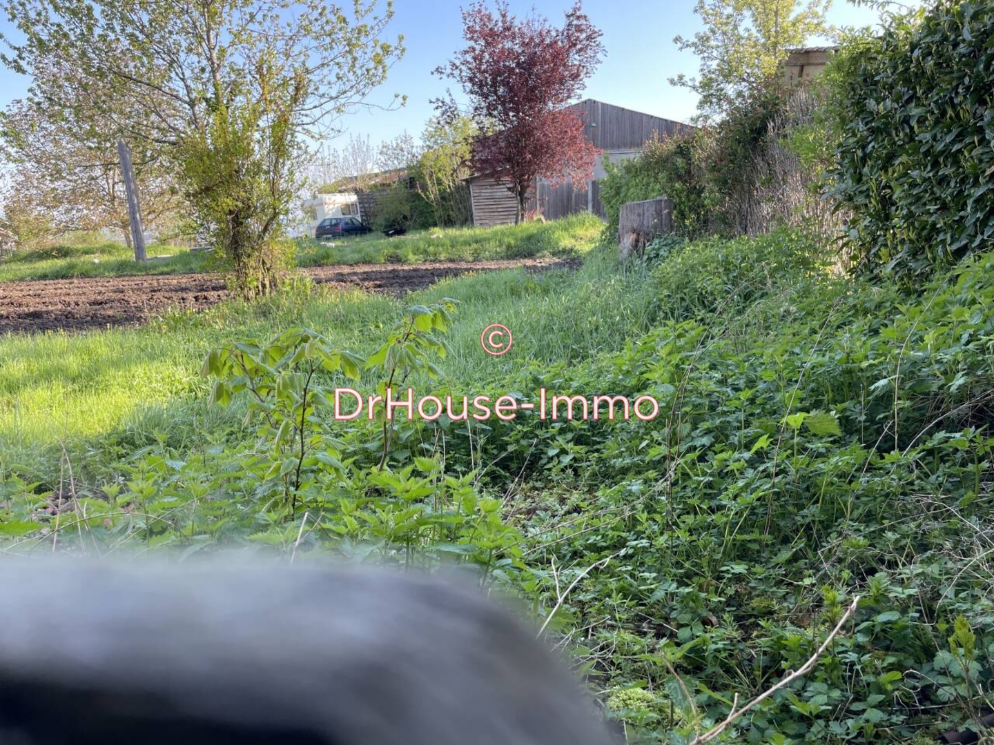 Photo 3 : Vente Maison 4 pièces Saint-Pierre-du-Champ 100 m²