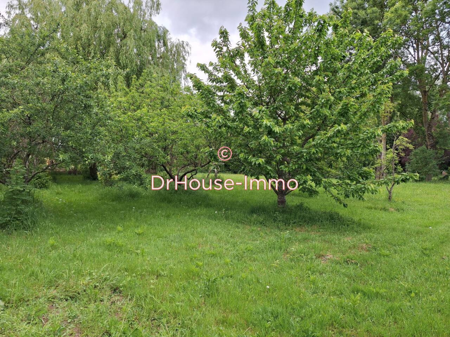 Photo 3 : Vente Terrain La Guierche 1361 m²
