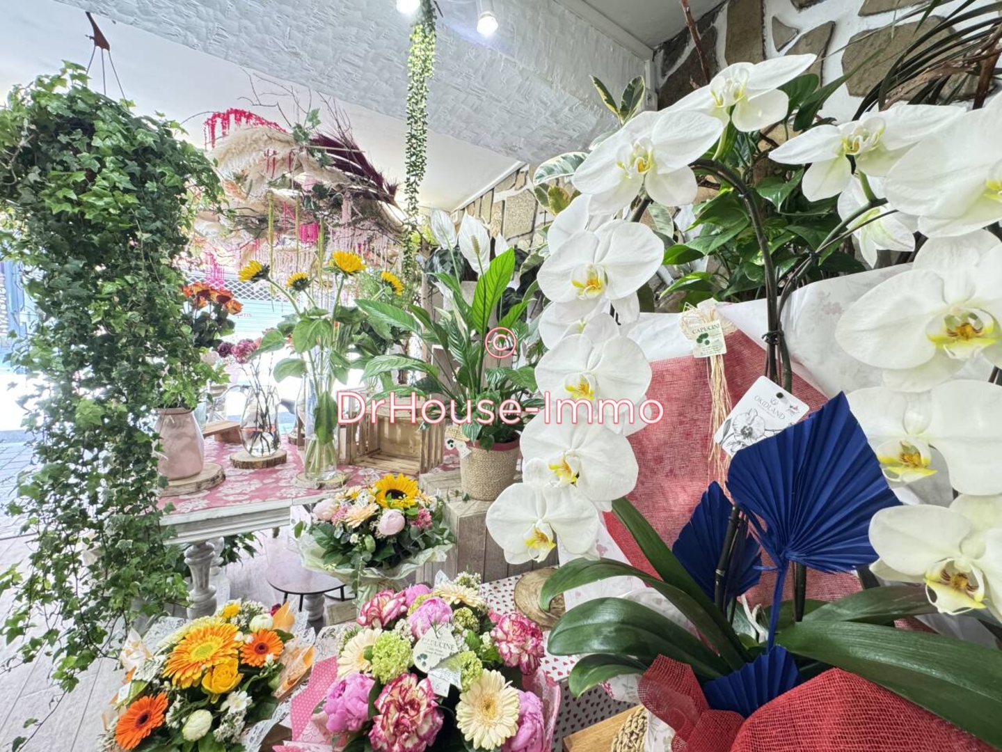 Photo 1 : Vente Commerce 2 pièces La Valette-du-Var 43 m²