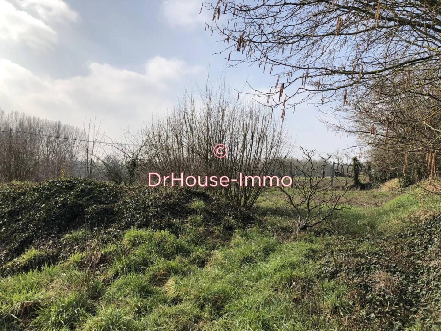 Photo 3 : Vente Terrain Douilly 480 m²