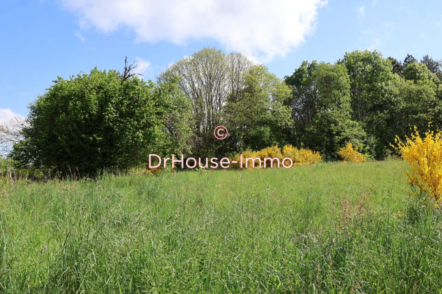 Photo 1 : Vente Terrain Saint-Yrieix-la-Perche 911 m²