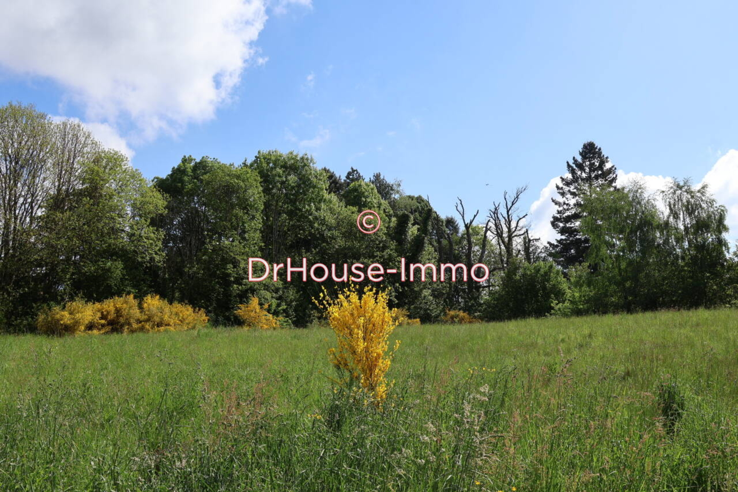 Photo 2 : Vente Terrain Saint-Yrieix-la-Perche 1077 m²