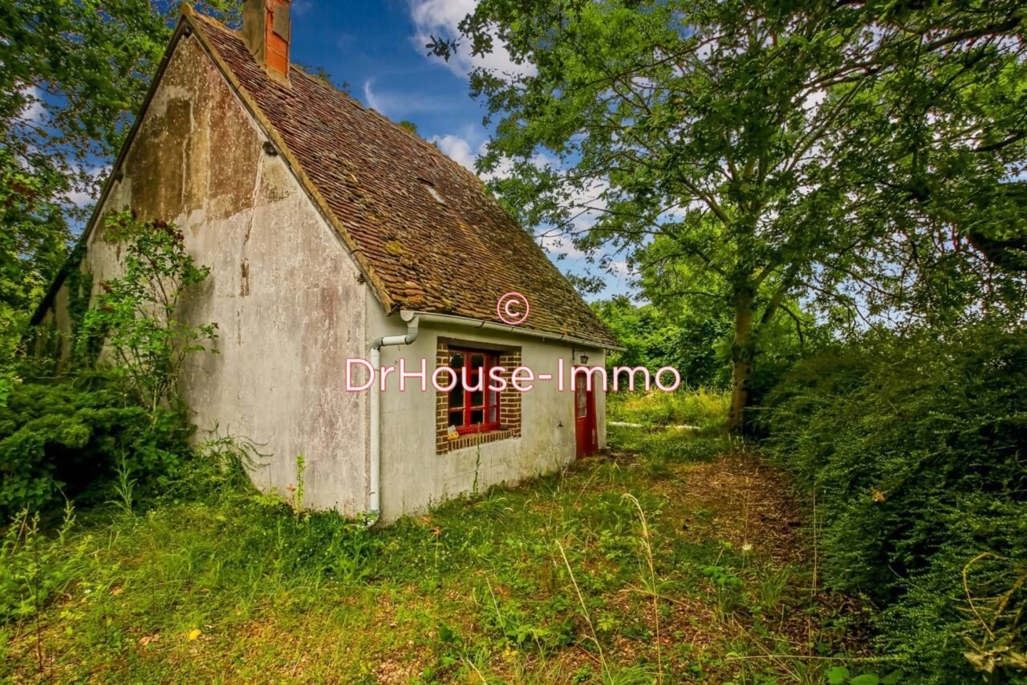 Photo 1 : Vente Maison 2 pièces Luigny 34 m²